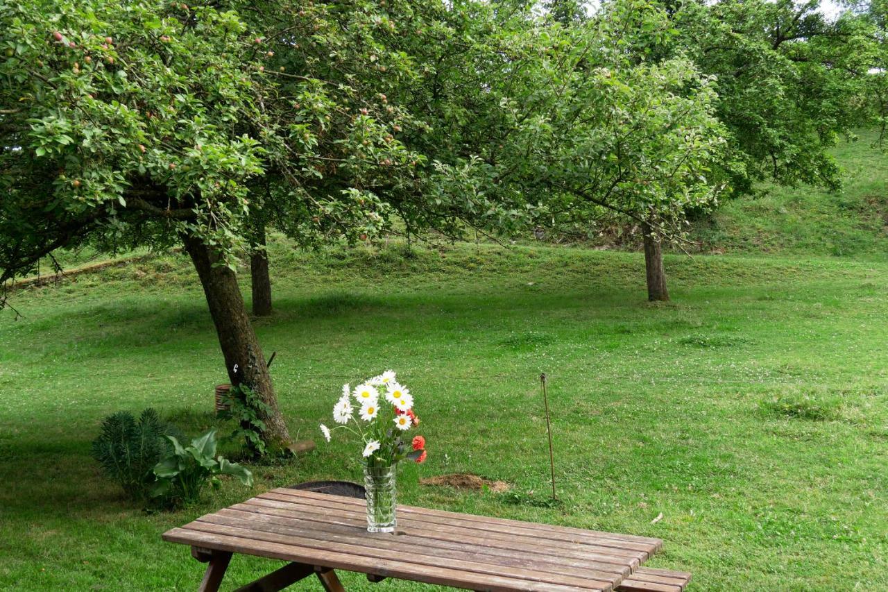 La Petite Maison O Bord De L'Eau Bernieres-le-Patry Bagian luar foto