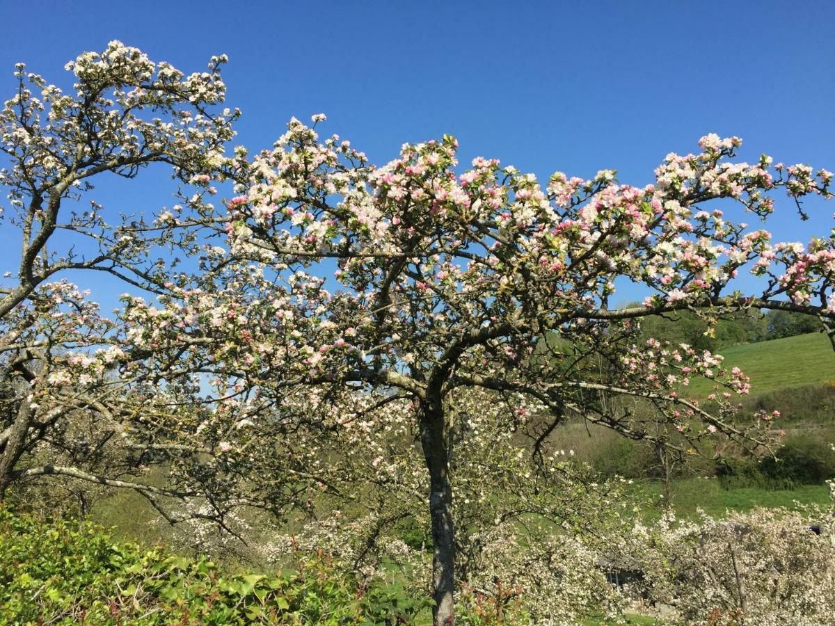 La Petite Maison O Bord De L'Eau Bernieres-le-Patry Bagian luar foto